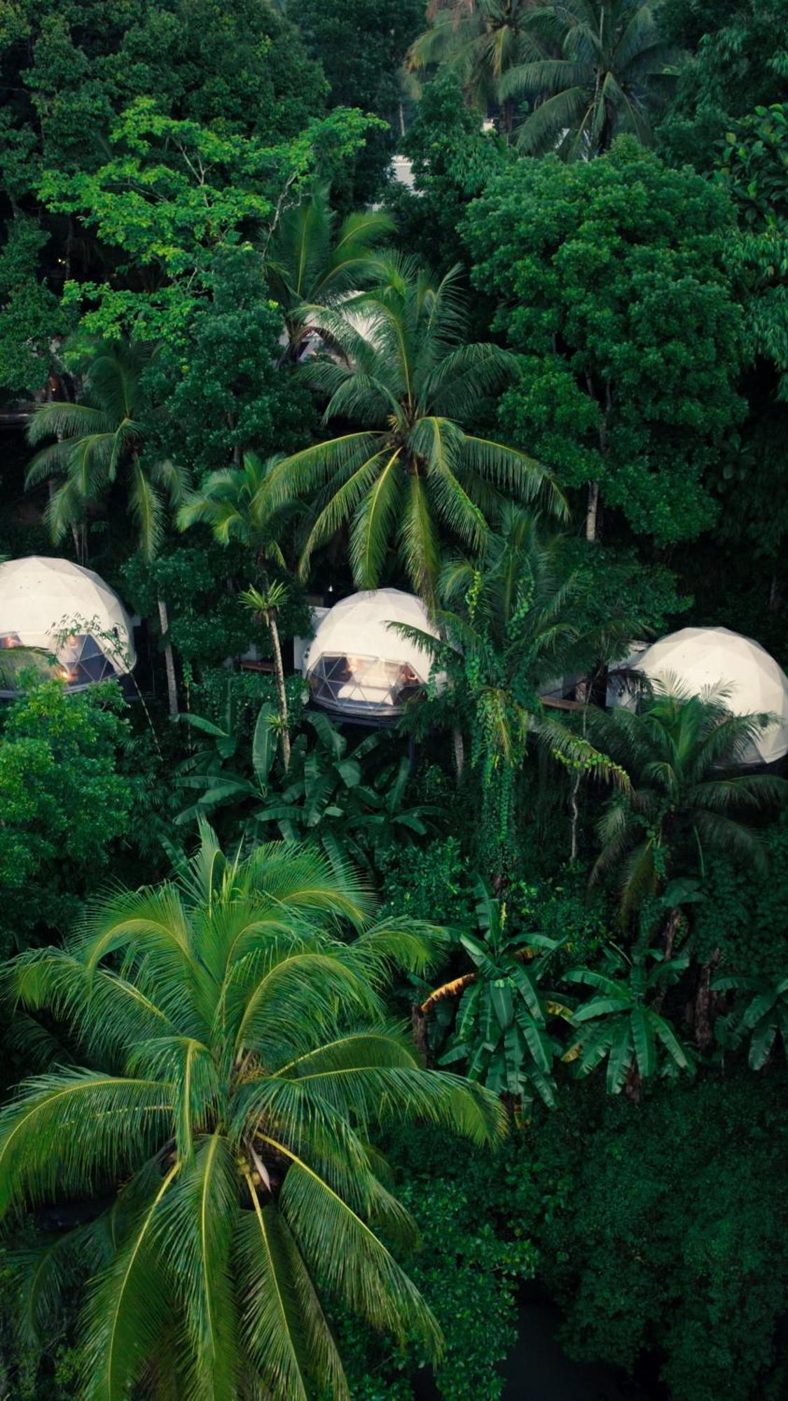 Lintang Luku Tent Resort Ijen, Banyuwangi Banyuwangi  Exterior foto